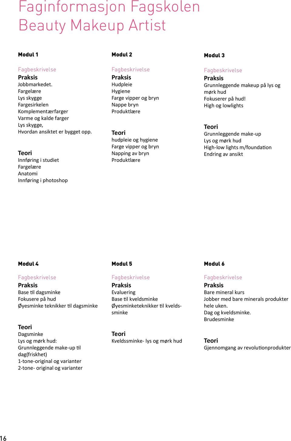 Modul 3 Grunnleggende makeup på lys og mørk hud Fokuserer på hud!