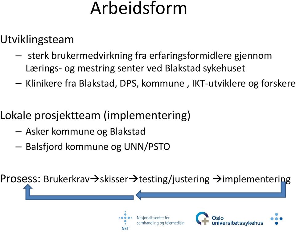 IKT utviklere og forskere Lokale prosjektteam (implementering) Asker kommune og