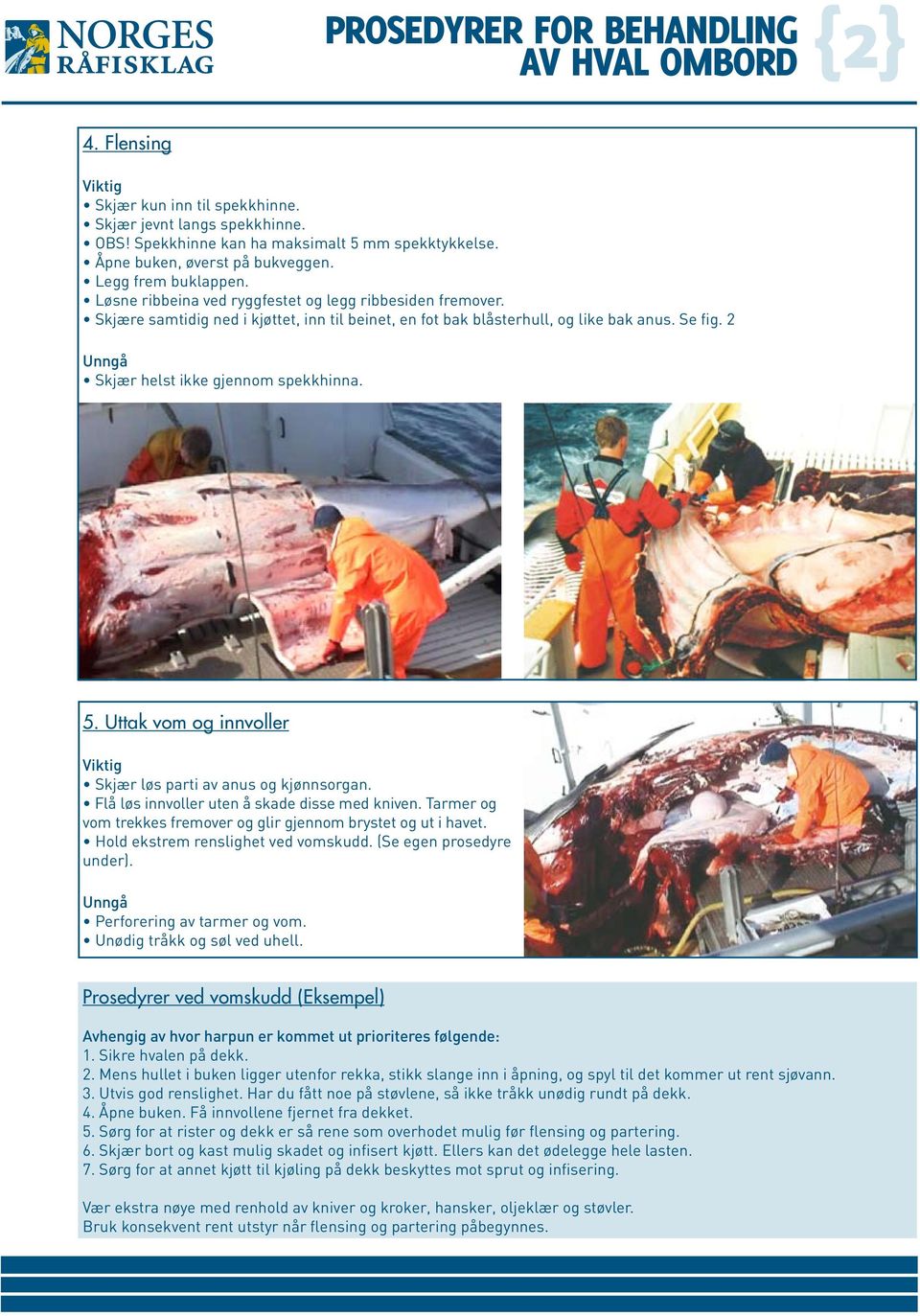 Se fig. 2 Unngå Skjær hest ikke gjennom spekkhinna. 5. Uttak vom og innvoer Viktig Skjær øs parti av anus og kjønnsorgan. Få øs innvoer uten å skade disse med kniven.