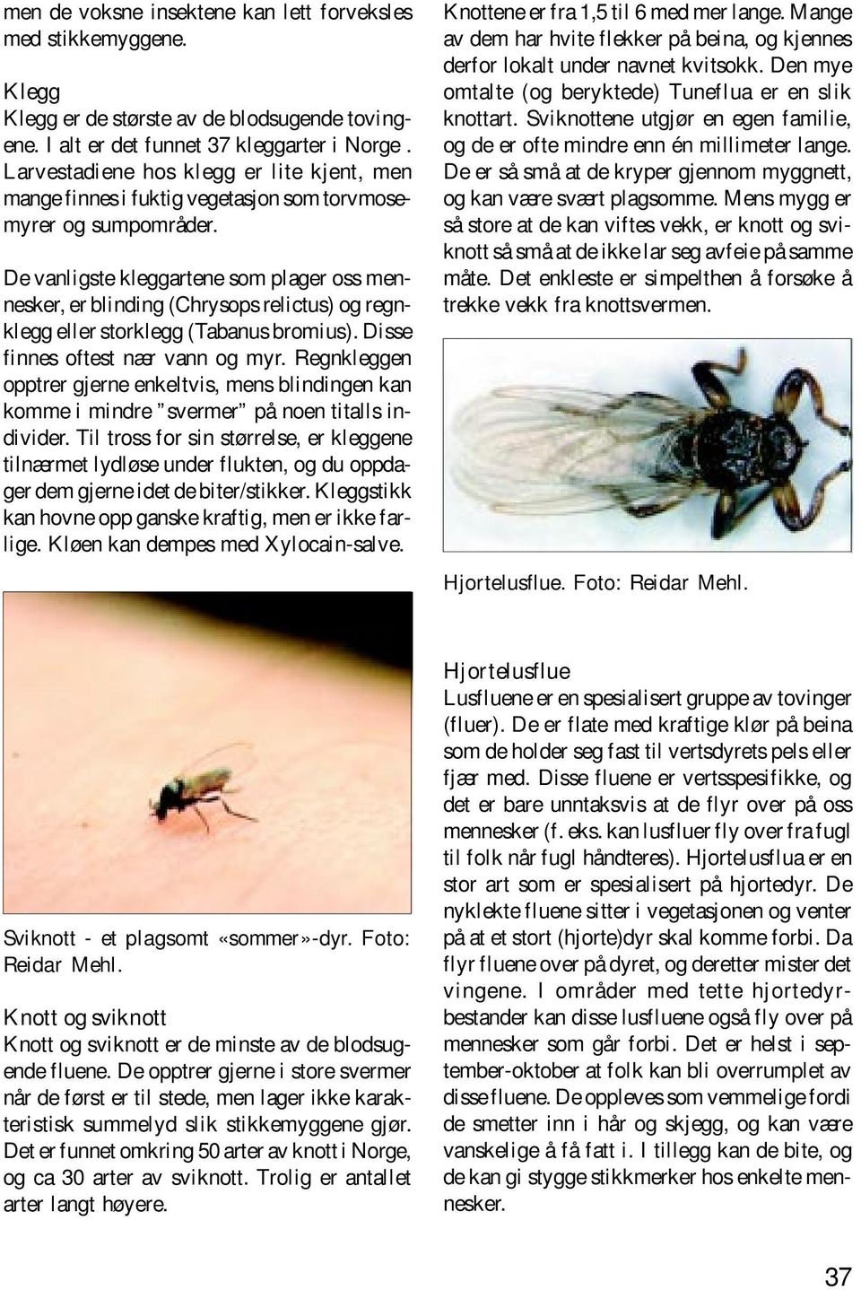 De vanligste kleggartene som plager oss mennesker, er blinding (Chrysops relictus) og regnklegg eller storklegg (Tabanus bromius). Disse finnes oftest nær vann og myr.