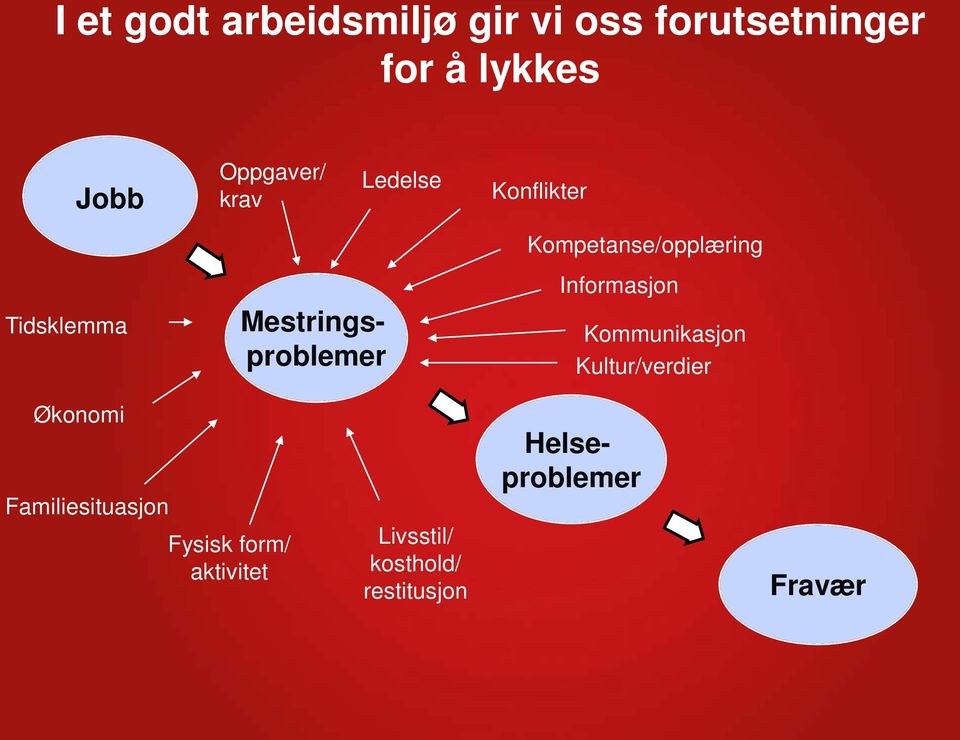 Kompetanse/opplæring Informasjon Kommunikasjon Kultur/verdier Økonomi