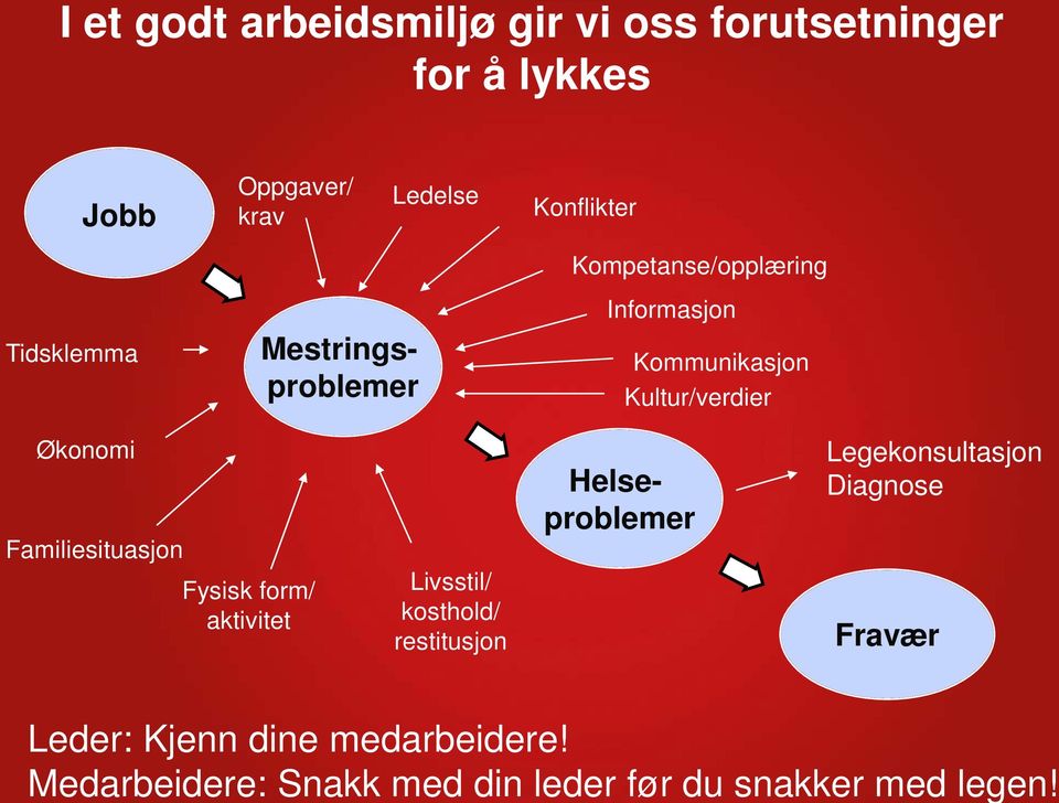 Tidsklemma Mestringsproblemer Kompetanse/opplæring Informasjon Kommunikasjon Kultur/verdier Økonomi