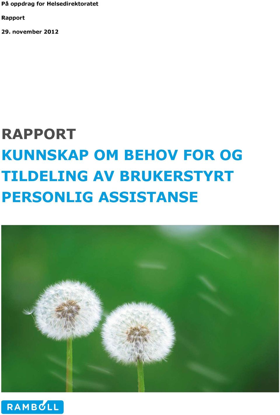 november 2012 RAPPORT KUNNSKAP OM