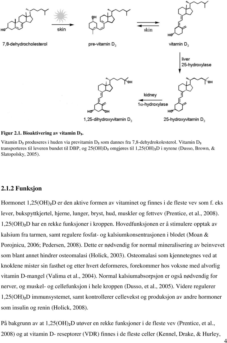 eks lever, bukspyttkjertel, hjerne, lunger, bryst, hud, muskler og fettvev (Prentice, et al., 2008). 1,25(OH)₂D har en rekke funksjoner i kroppen.