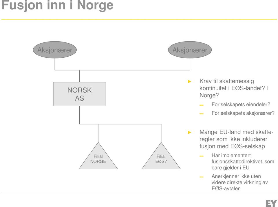 Mange EU-land med skatteregler som ikke inkluderer fusjon med EØS-selskap Filial NORGE