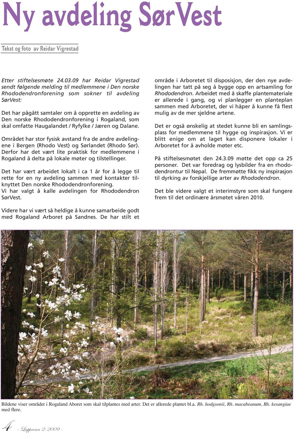 Rhododendronforening i Rogaland, som skal omfatte Haugalandet / Ryfylke / Jæren og Dalane. Området har stor fysisk avstand fra de andre avdelingene i Bergen (Rhodo Vest) og Sørlandet (Rhodo Sør).