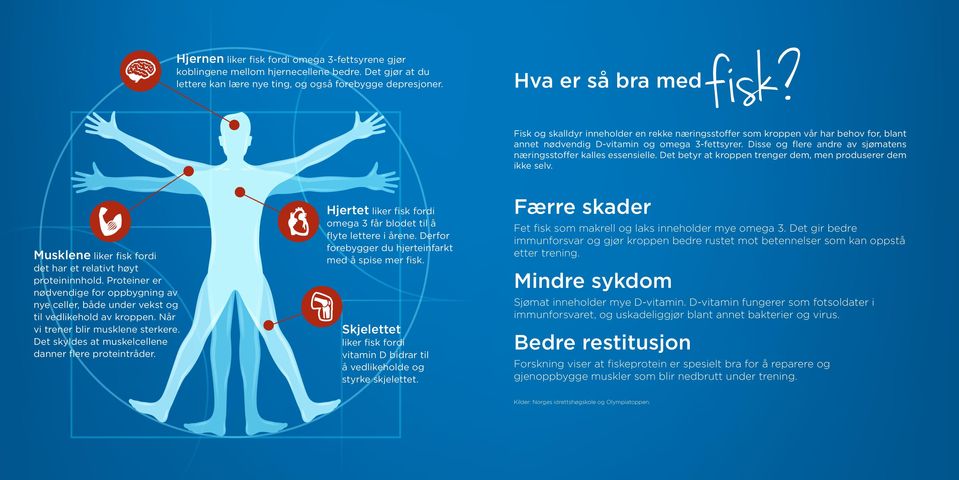 Disse og flere andre av sjømatens næringsstoffer kalles essensielle. Det betyr at kroppen trenger dem, men produserer dem ikke selv. Musklene liker fisk fordi det har et relativt høyt proteininnhold.