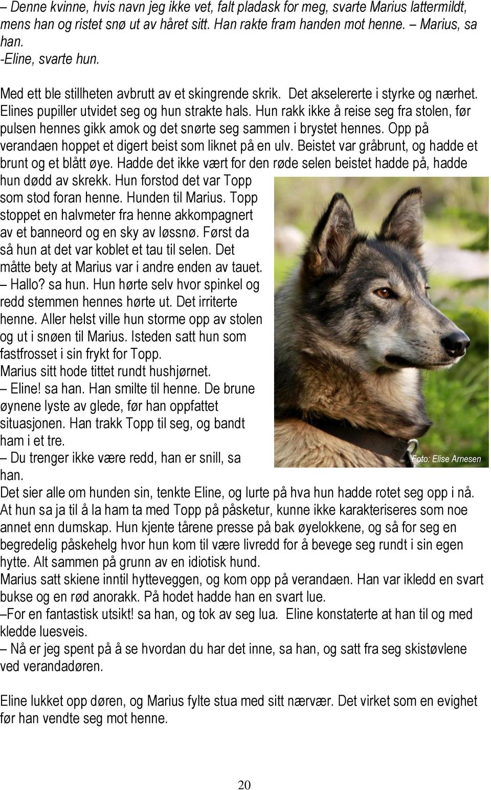 Hun rakk ikke å reise seg fra stolen, før pulsen hennes gikk amok og det snørte seg sammen i brystet hennes. Opp på verandaen hoppet et digert beist som liknet på en ulv.