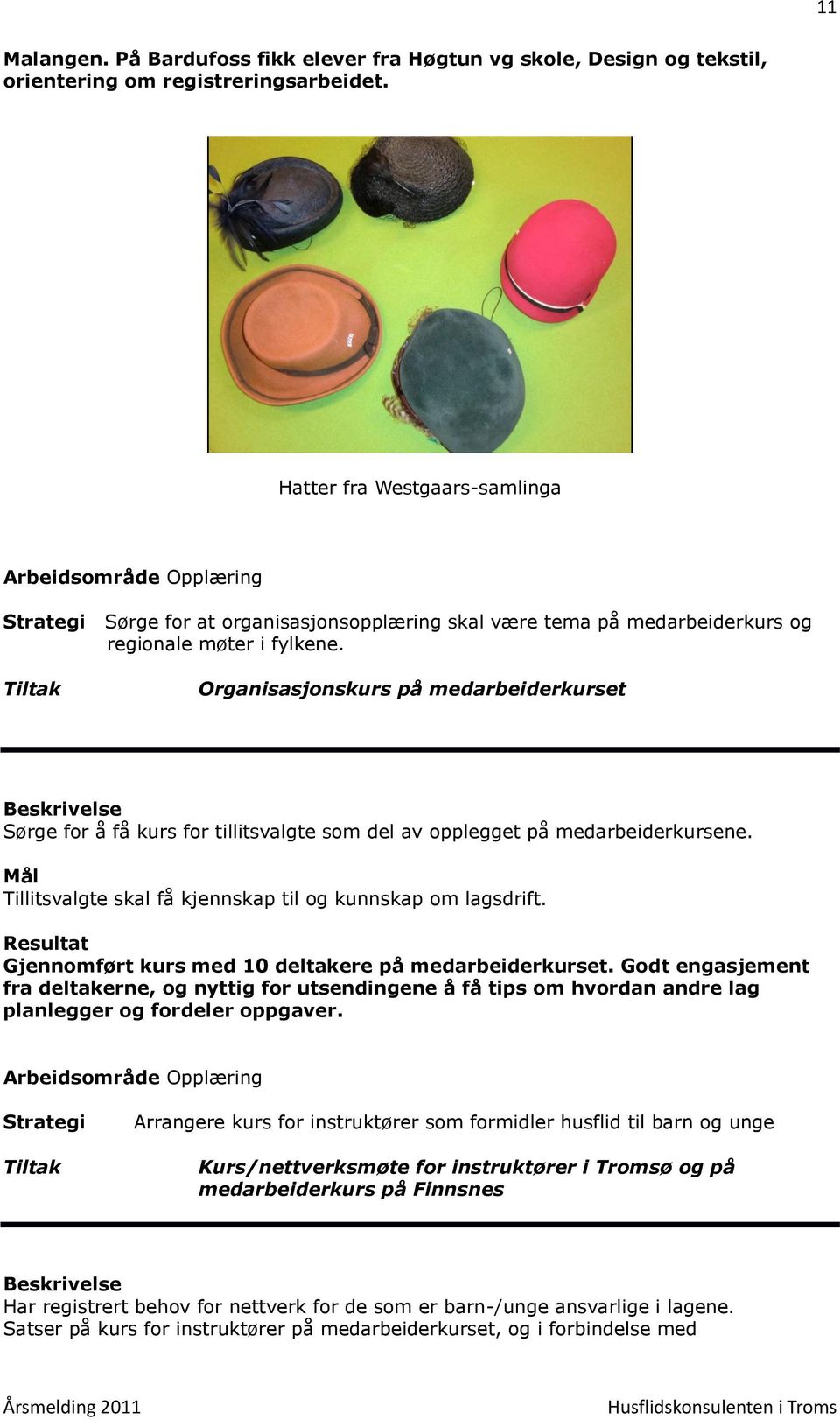 Organisasjonskurs på medarbeiderkurset Beskrivelse Sørge for å få kurs for tillitsvalgte som del av opplegget på medarbeiderkursene. Tillitsvalgte skal få kjennskap til og kunnskap om lagsdrift.