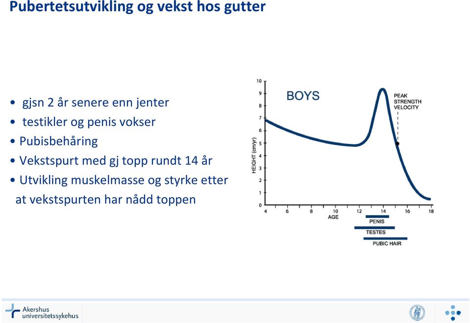 Pubisbehåring Vekstspurt med gj topp rundt 14 år