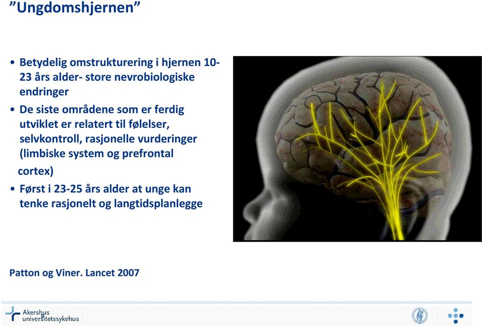 følelser, selvkontroll, rasjonelle vurderinger (limbiske system og prefrontal cortex)