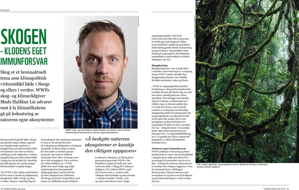 Kommersiell skogdrift både i Norge og utlandet skaper debatt, spesielt om skogplantasjer og bruk av skogplanting som klimavirkemiddel.