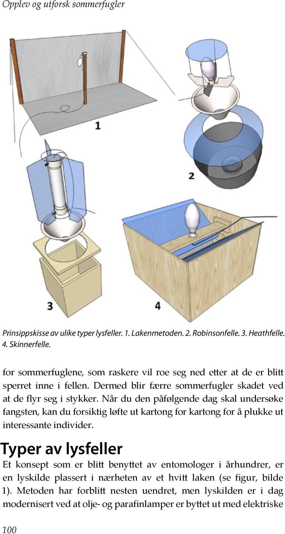 Når du den påfølgende dag skal undersøke fangsten, kan du forsiktig løfte ut kartong for kartong for å plukke ut interessante individer.