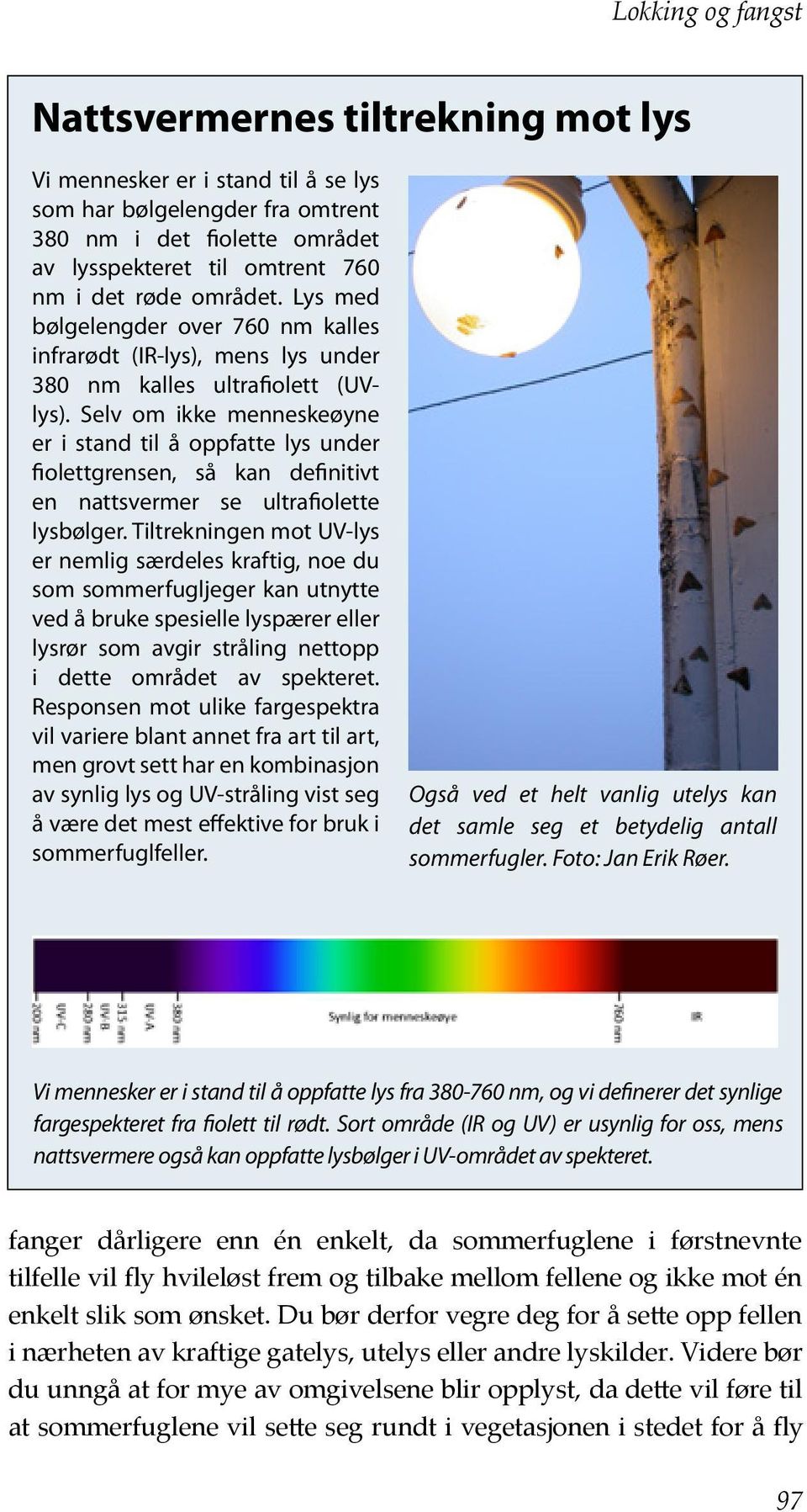 Selv om ikke menneskeøyne er i stand til å oppfatte lys under fiolettgrensen, så kan definitivt en nattsvermer se ultrafiolette lysbølger.