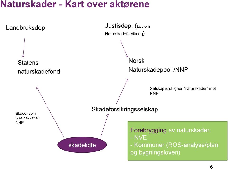 naturskader mot NNP Skader som ikke dekket av NNP skadelidte Skadeforsikringsselskap Forebrygging