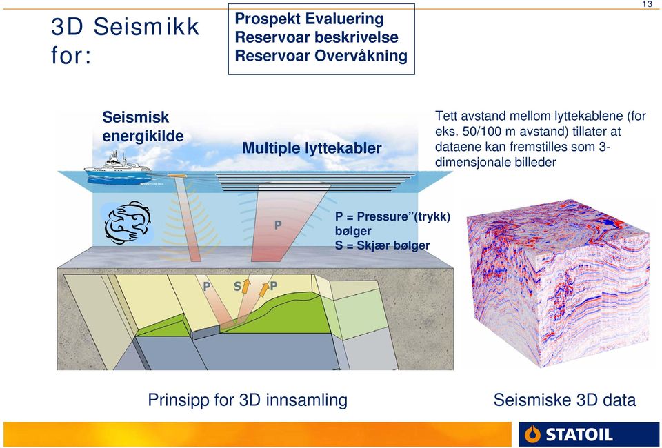 50/100 m avstand) tillater at dataene kan fremstilles som 3- dimensjonale billeder P