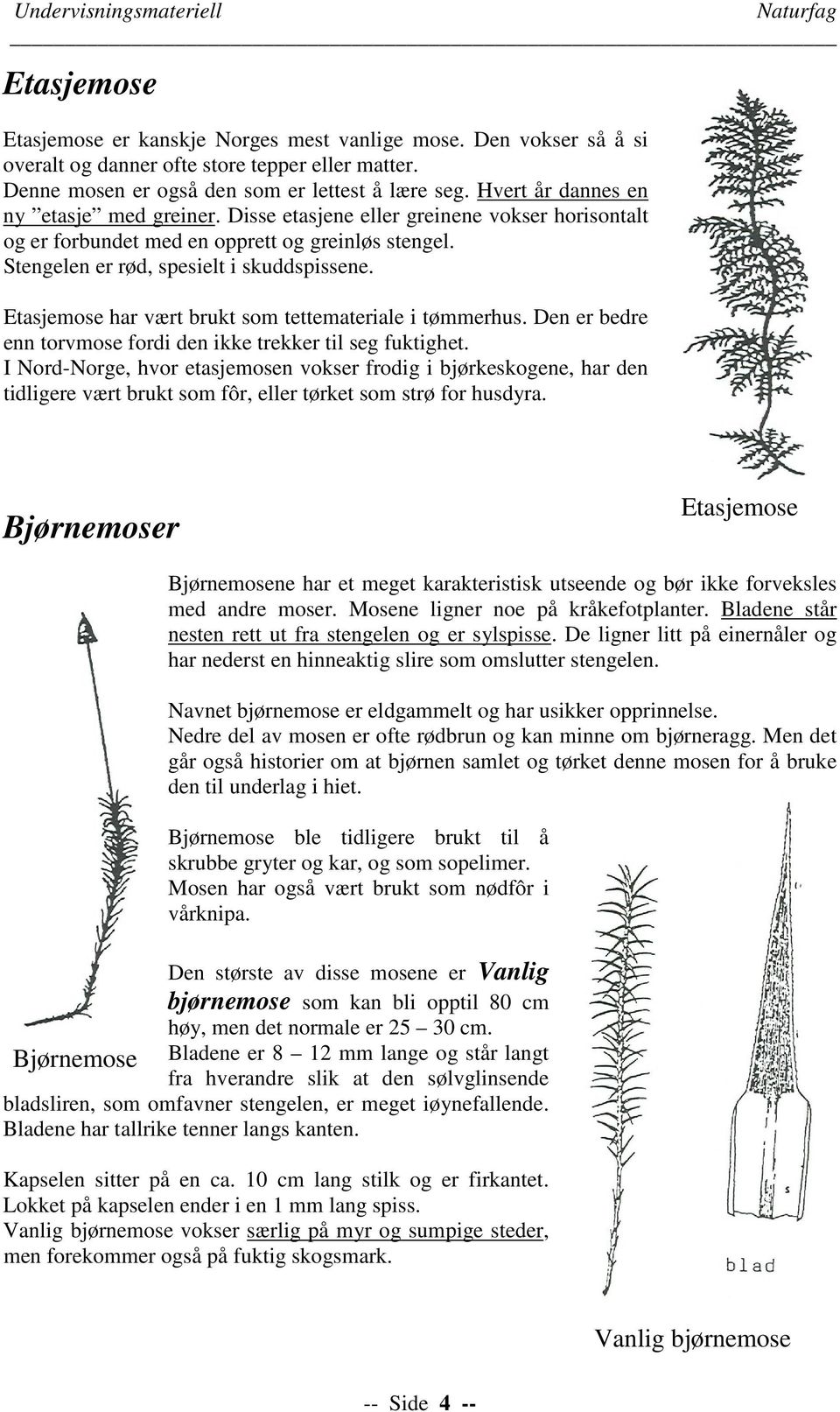 Stengelen er rød, spesielt i skuddspissene. Etasjemose har vært brukt som tettemateriale i tømmerhus. Den er bedre enn torvmose fordi den ikke trekker til seg fuktighet.