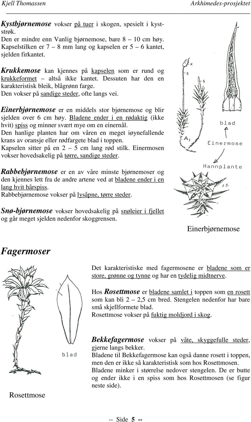 Einerbjørnemose er en middels stor bjørnemose og blir sjelden over 6 cm høy. Bladene ender i en rødaktig (ikke hvit) spiss og minner svært mye om en einernål.