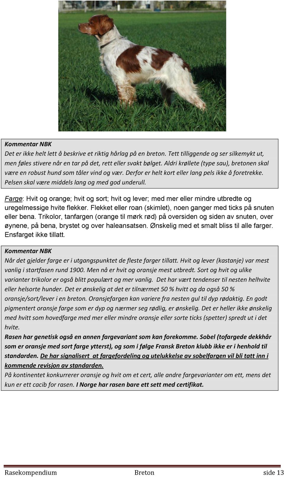 Farge: Hvit og orange; hvit og sort; hvit og lever; med mer eller mindre utbredte og uregelmessige hvite flekker. Flekket eller roan (skimlet), noen ganger med ticks på snuten eller bena.