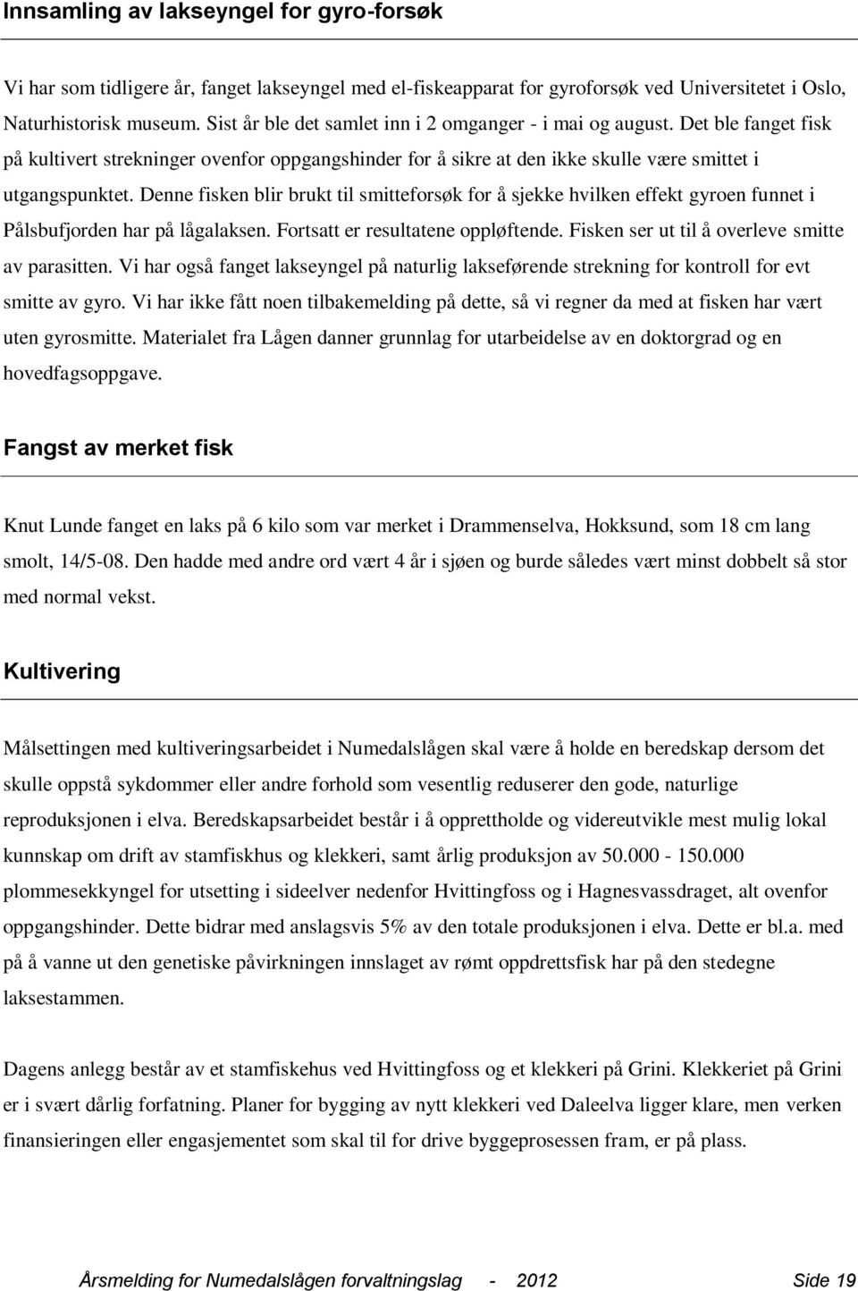 Denne fisken blir brukt til smitteforsøk for å sjekke hvilken effekt gyroen funnet i Pålsbufjorden har på lågalaksen. Fortsatt er resultatene oppløftende.