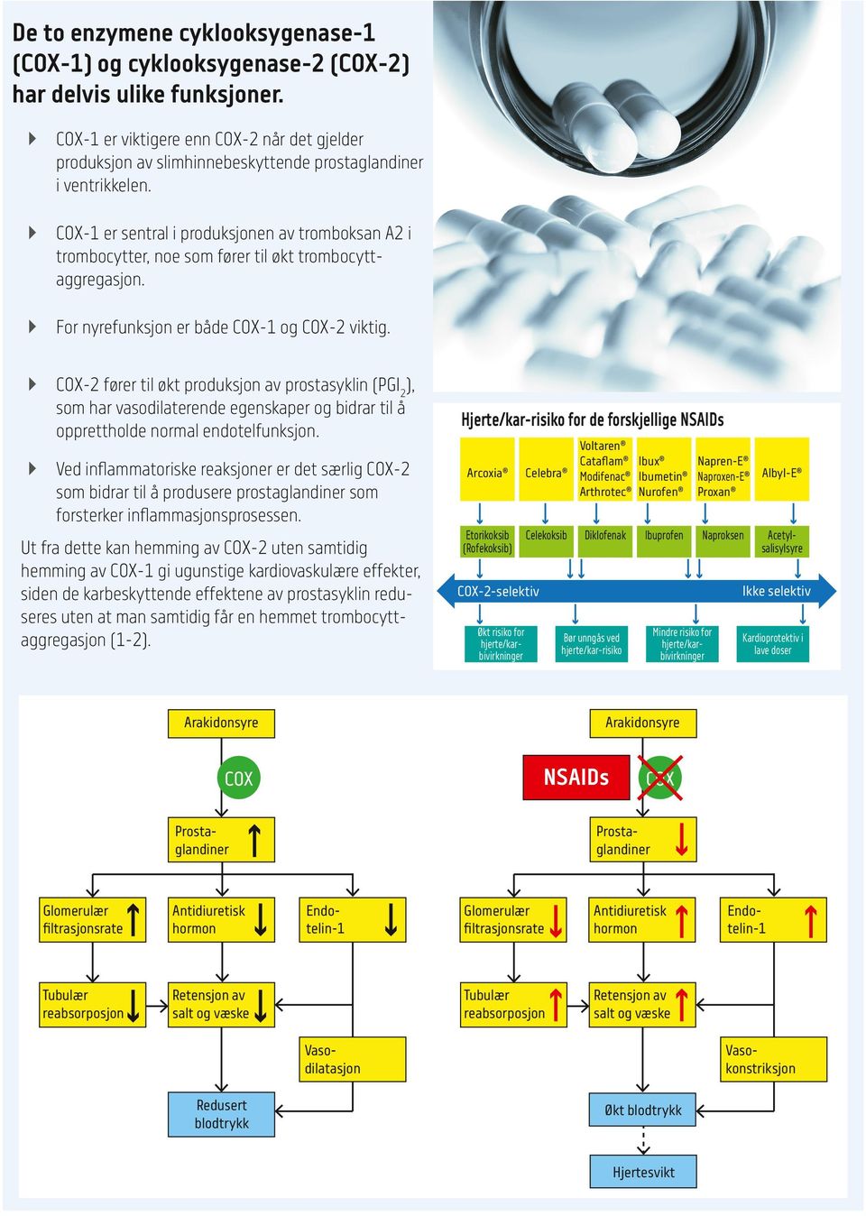 COX-1 er sentral i produksjonen av tromboksan A2 i trombocytter, noe som fører til økt trombocyttaggregasjon. For nyrefunksjon er både COX-1 og COX-2 viktig.