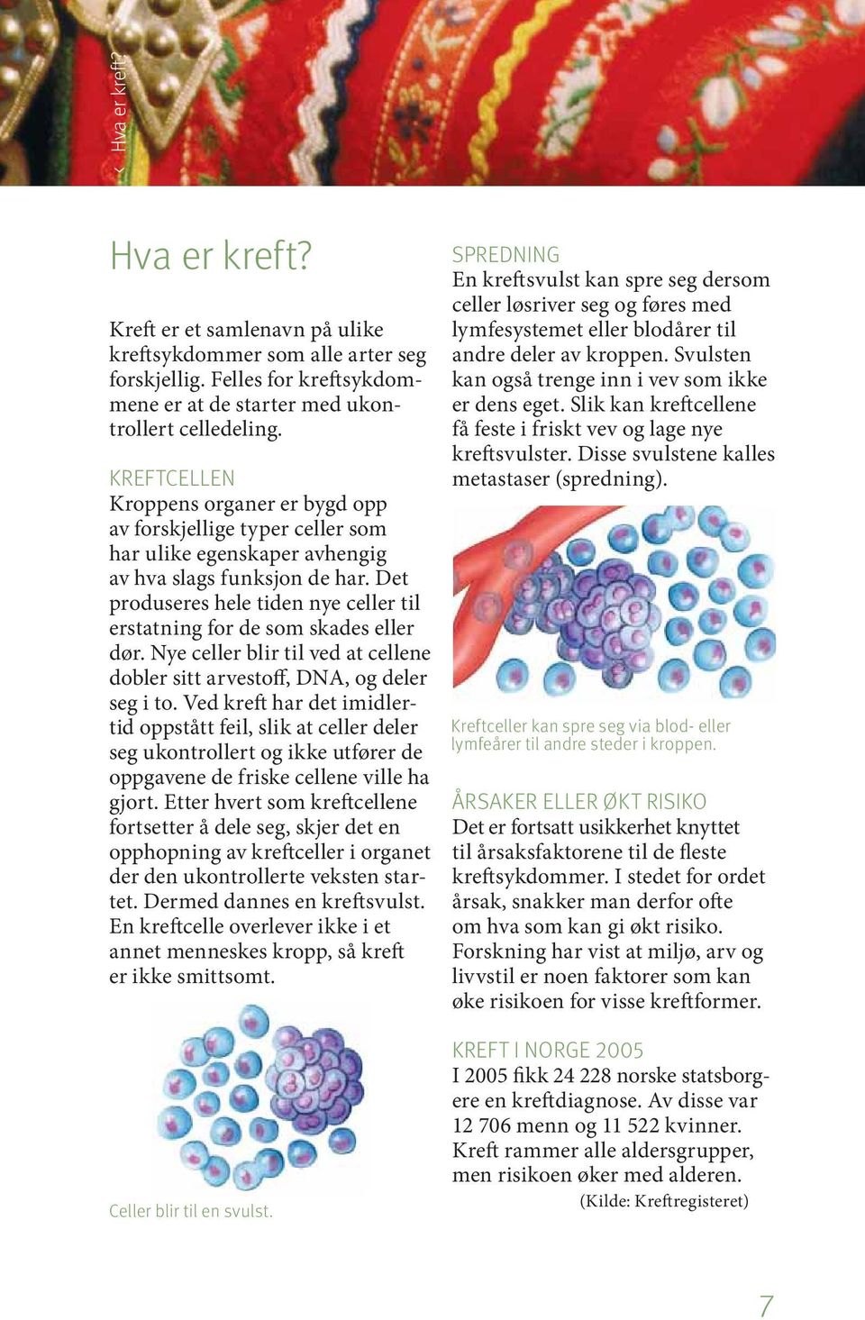 Det produseres hele tiden nye celler til erstatning for de som skades eller dør. Nye celler blir til ved at cellene dobler sitt arvestoff, DNA, og deler seg i to.