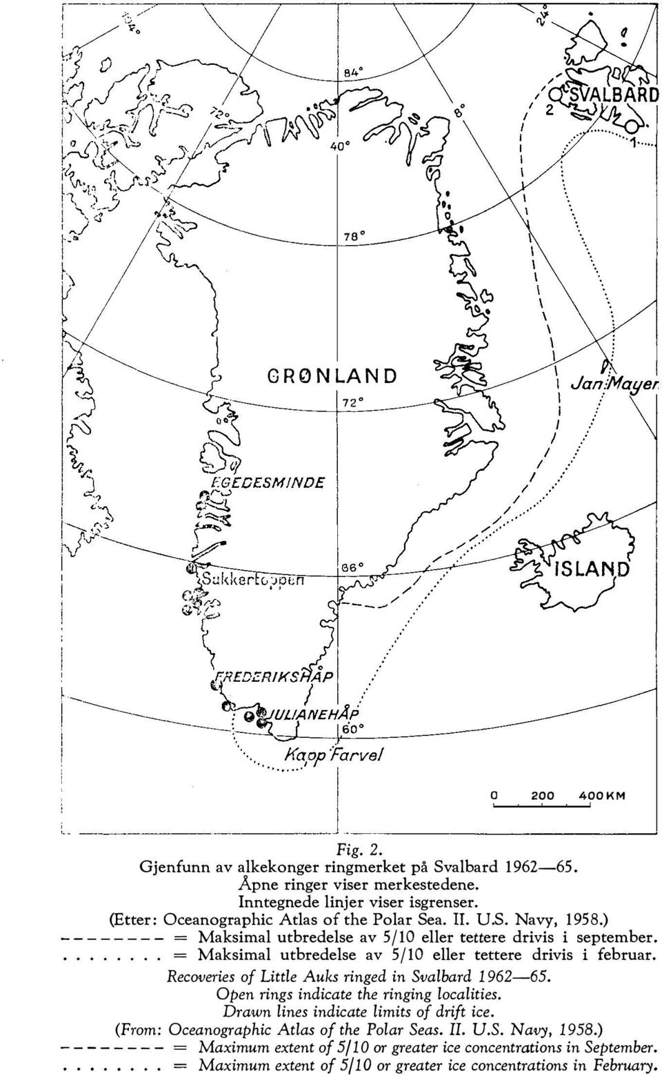 ........ = Maksimal utbredelse av 5/10 eller tettere drivis i februar. Recoveries of Little Auks ringed in Svalbard 1962-65. Open rings indicate the ringing localities.