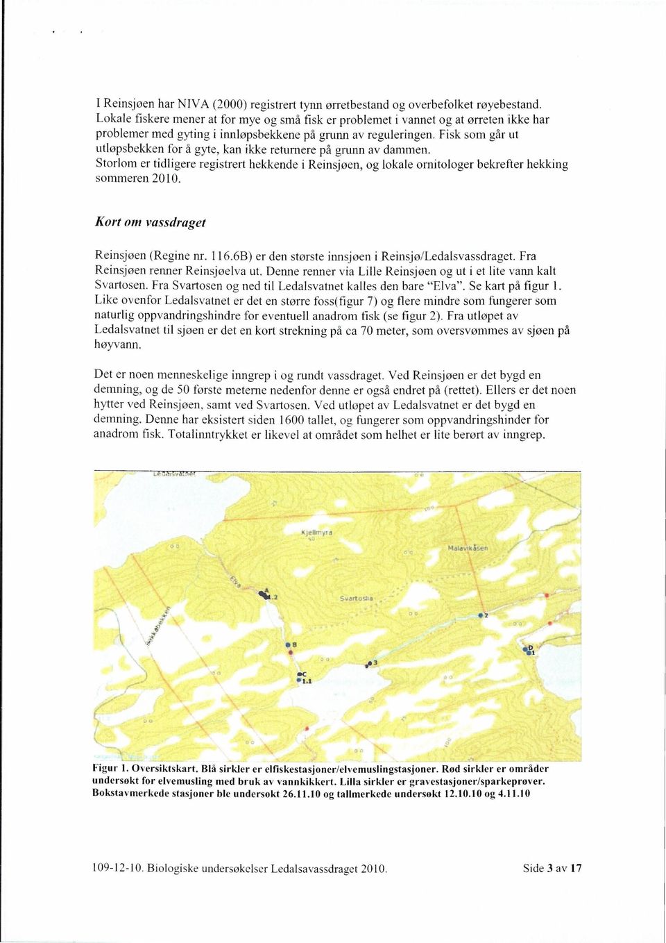 Fisk som går ut utløpsbekken for å gyte, kan ikke returnere på grunn av dammen. Storlom er tidligere registrert hekkende i Reinsjøen, og lokale ornitologer bekrefter hekking sommeren 2010.