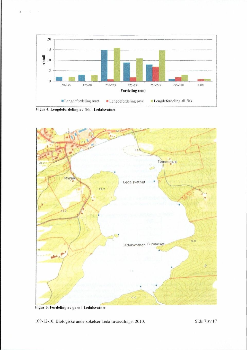 Lengdefordeling av fisk i Ledalsvatnet 160 Tommerdal 2 Ledalsvatnet Ledalsvatnet