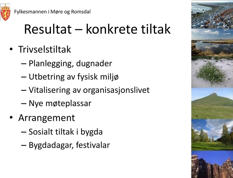 Vitalisering av organisasjonslivet Nye