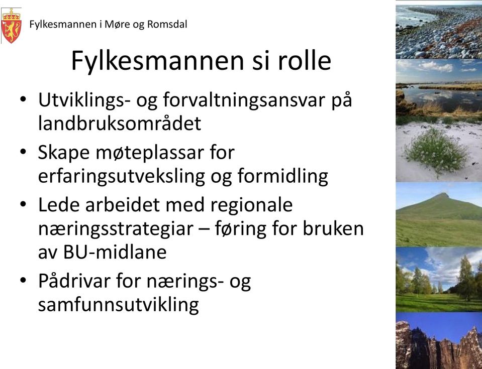 formidling Lede arbeidet med regionale næringsstrategiar