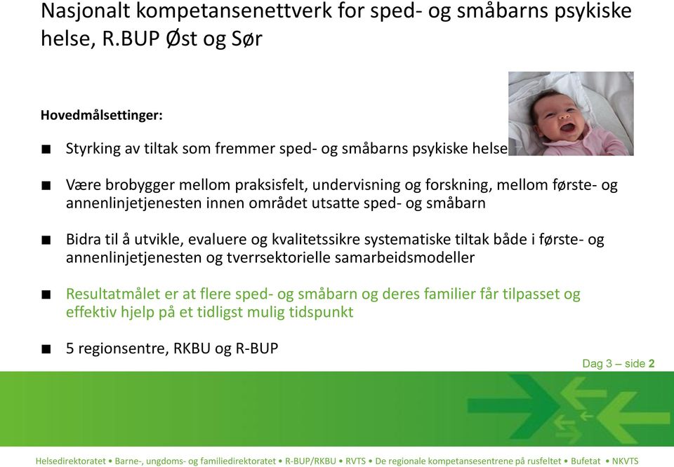 forskning, mellom første- og annenlinjetjenesten innen området utsatte sped- og småbarn Bidra til å utvikle, evaluere og kvalitetssikre systematiske