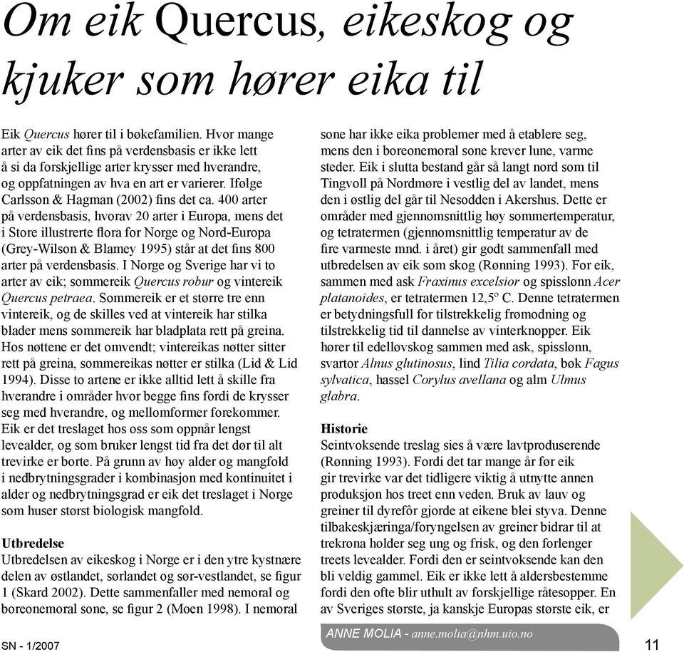 400 arter på verdensbasis, hvorav 20 arter i Europa, mens det i Store illustrerte flora for Norge og Nord-Europa (Grey-Wilson & Blamey 1995) står at det fins 800 arter på verdensbasis.