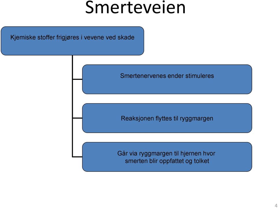 Reaksjonen flyttes til ryggmargen Går via