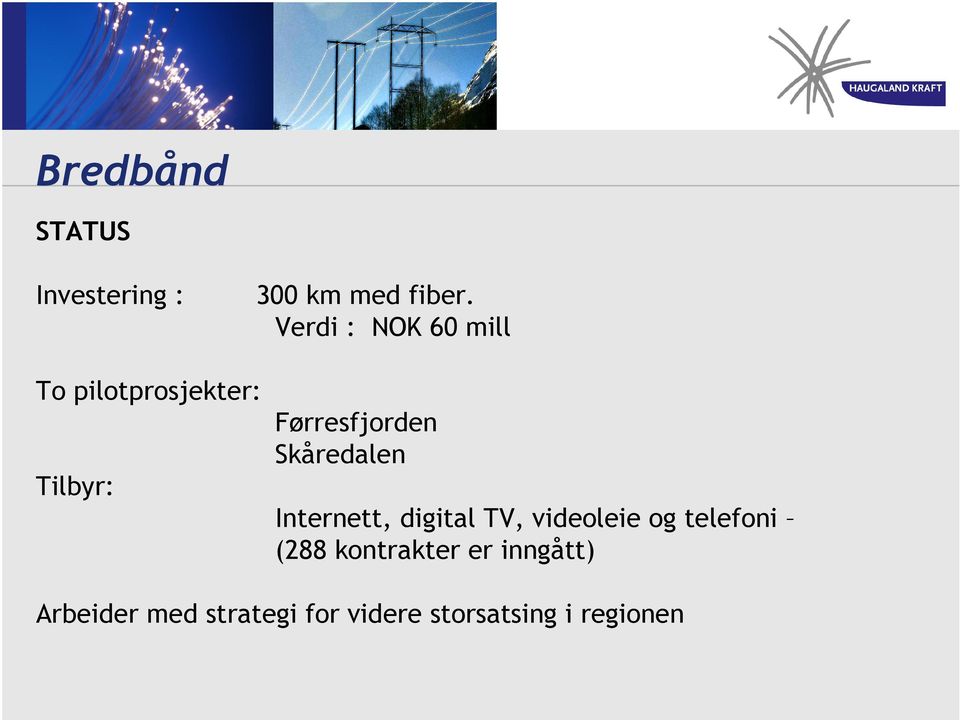 Skåredalen Internett, digital TV, videoleie og telefoni (288