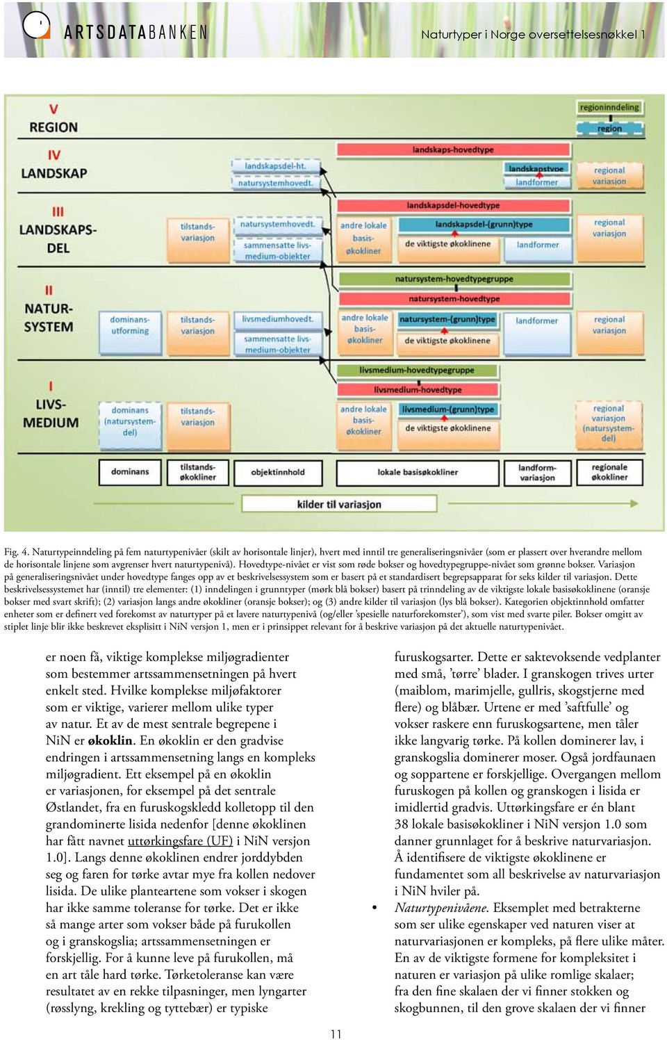 naturtypenivå). Hovedtype-nivået er vist som røde bokser og hovedtypegruppe-nivået som grønne bokser.