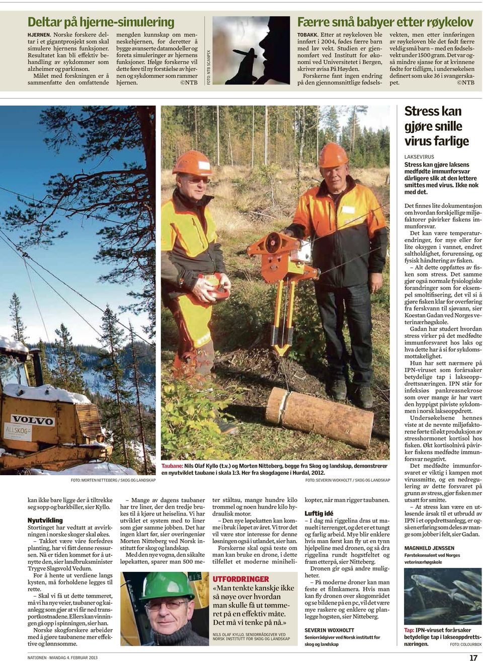 Ifølge forskerne vil dette føre til ny forståelse av hjernen og sykdommer som rammer hjernen. NTB FOTO: NTB SCANPIX Færre små babyer etter røykelov TOBAKK.