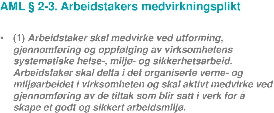 oppfølging av virksomhetens systematiske helse-, miljø- og sikkerhetsarbeid.