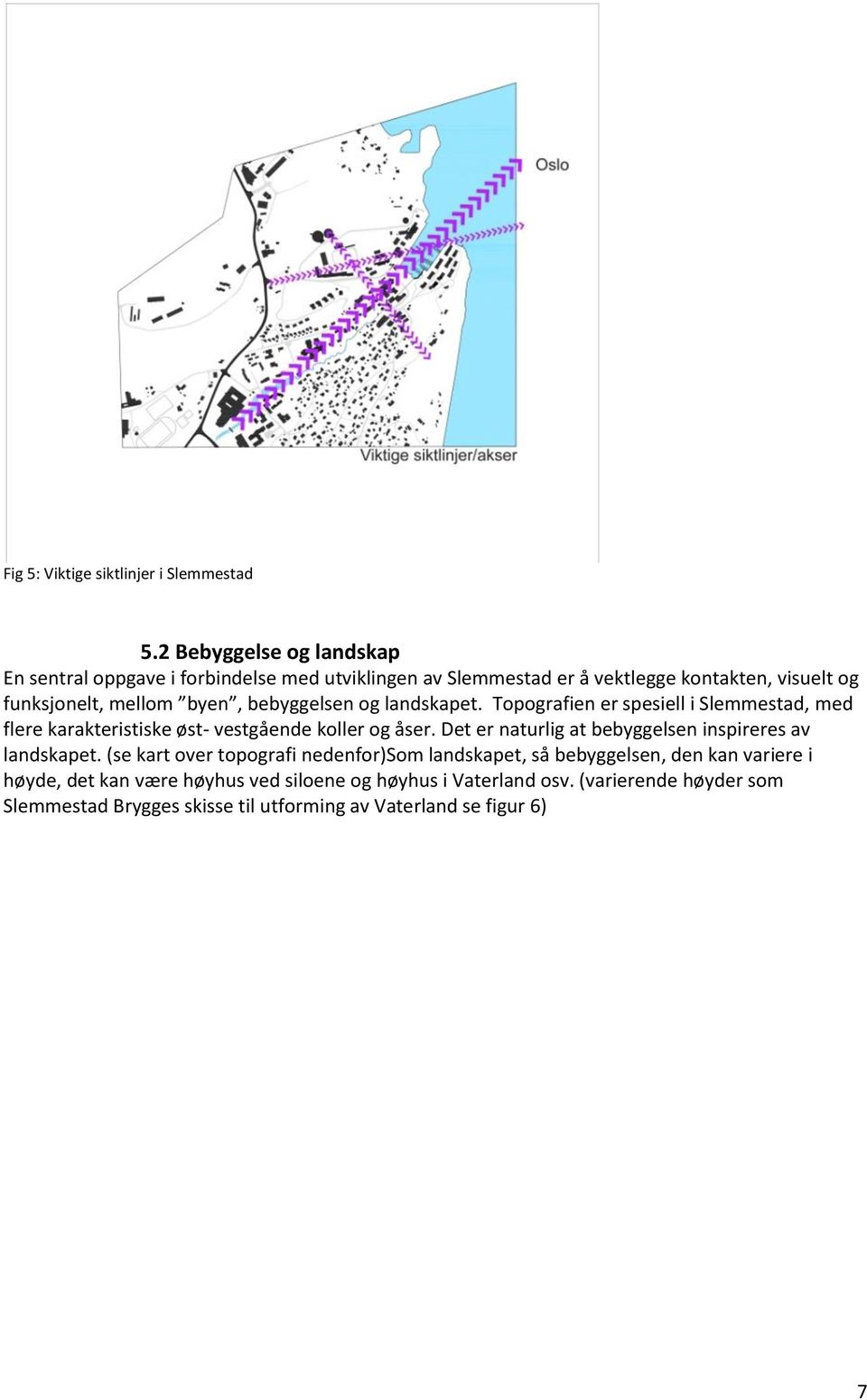 bebyggelsen og landskapet. Topografien er spesiell i Slemmestad, med flere karakteristiske øst- vestgående koller og åser.