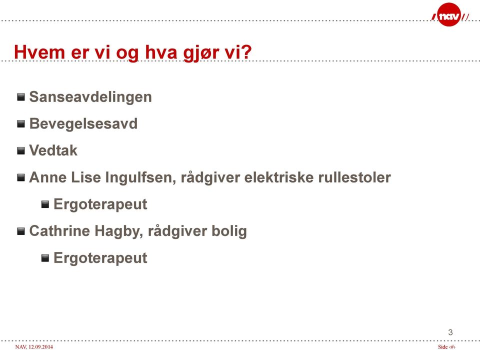 Lise Ingulfsen, rådgiver elektriske