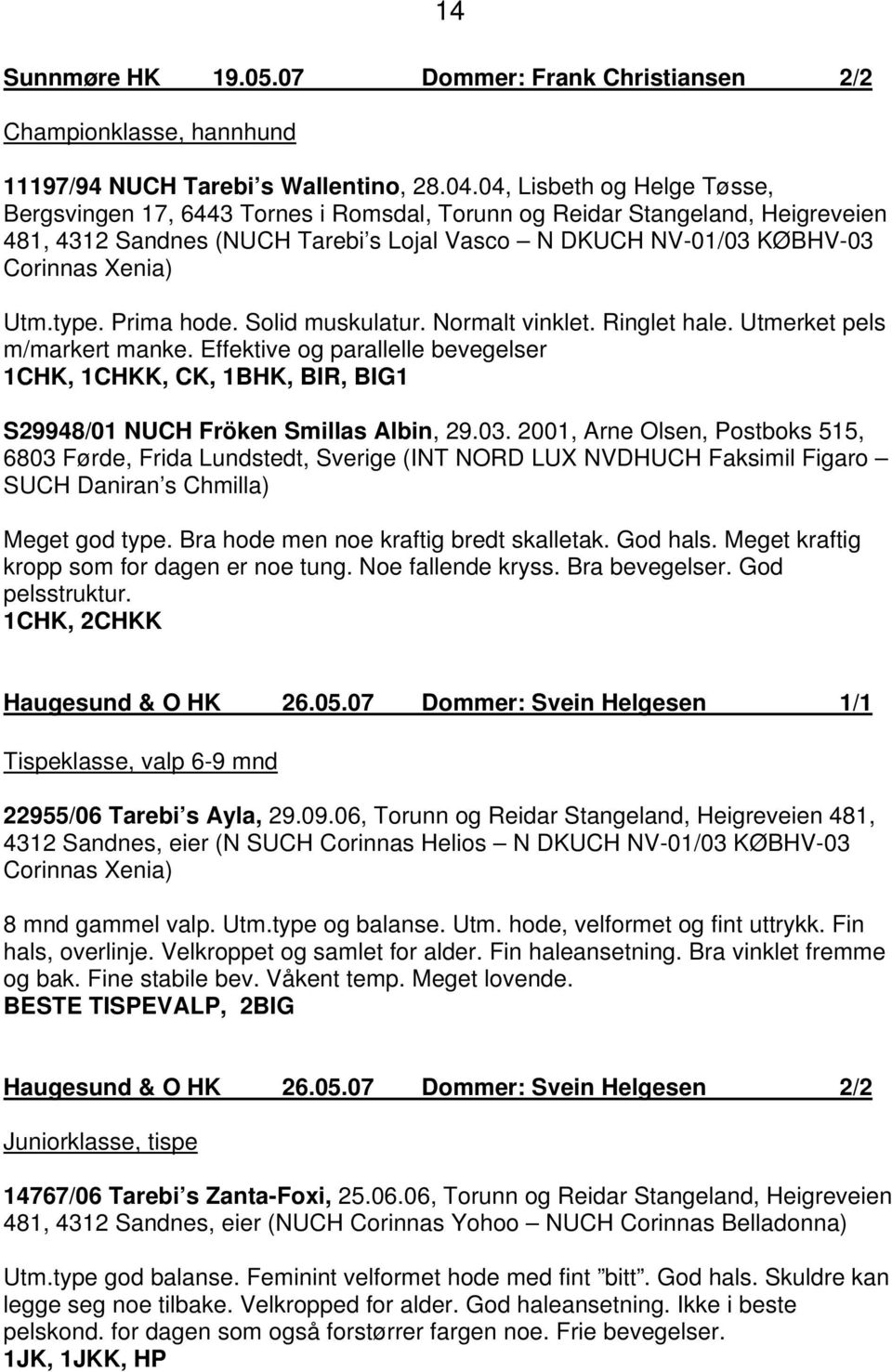 type. Prima hode. Solid muskulatur. Normalt vinklet. Ringlet hale. Utmerket pels m/markert manke.