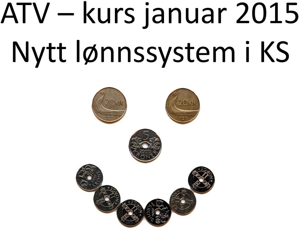 lønnssystem i