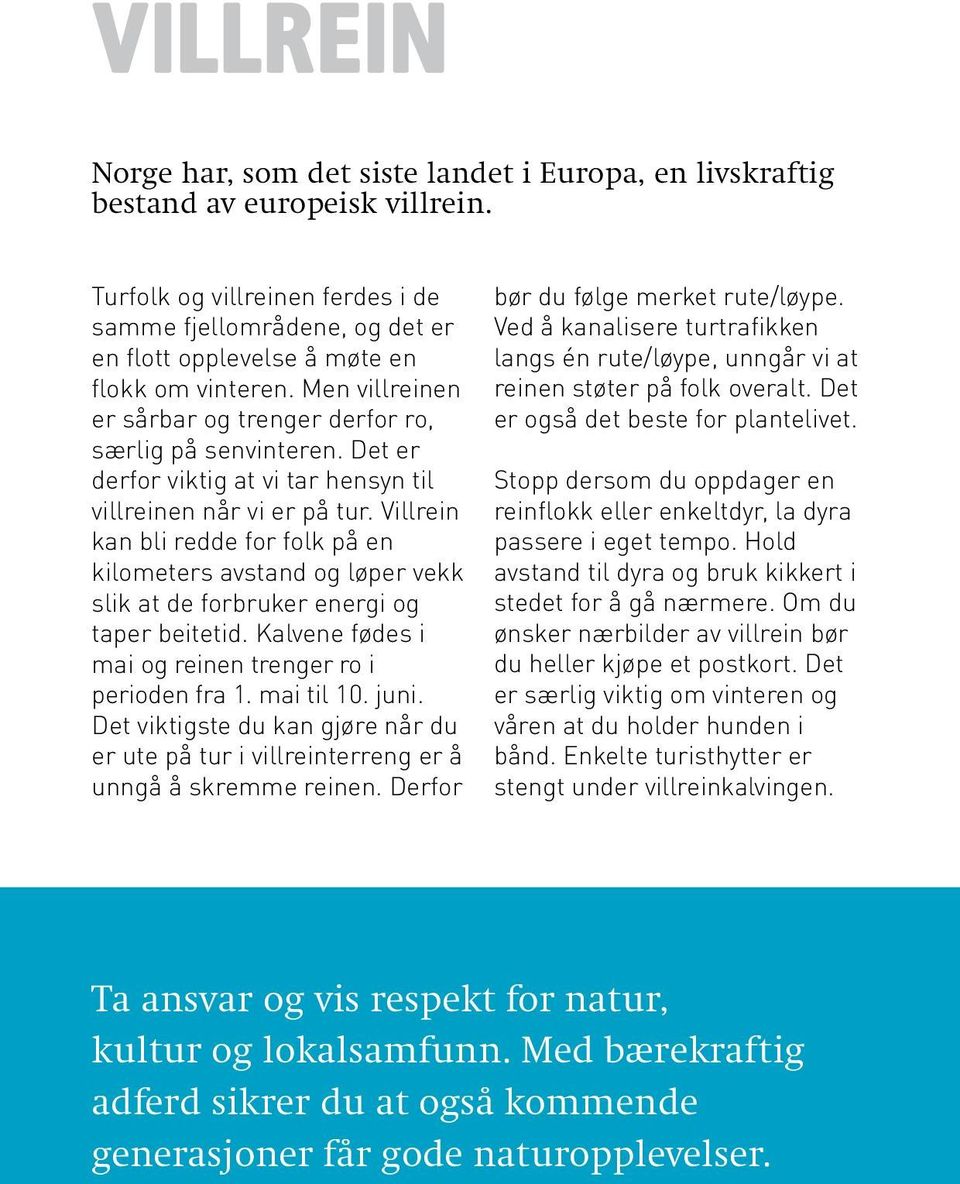 Det er derfor viktig at vi tar hensyn til villreinen når vi er på tur. Villrein kan bli redde for folk på en kilometers avstand og løper vekk slik at de forbruker energi og taper beitetid.