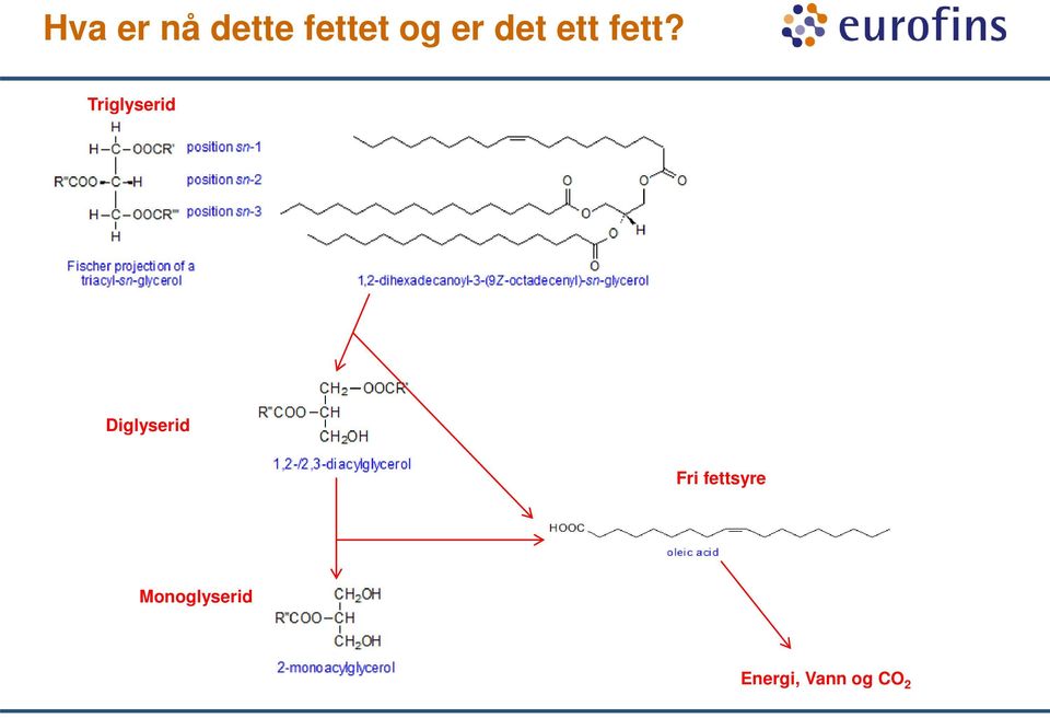 Triglyserid Diglyserid Fri