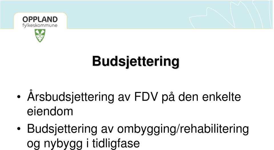 Budsjettering av