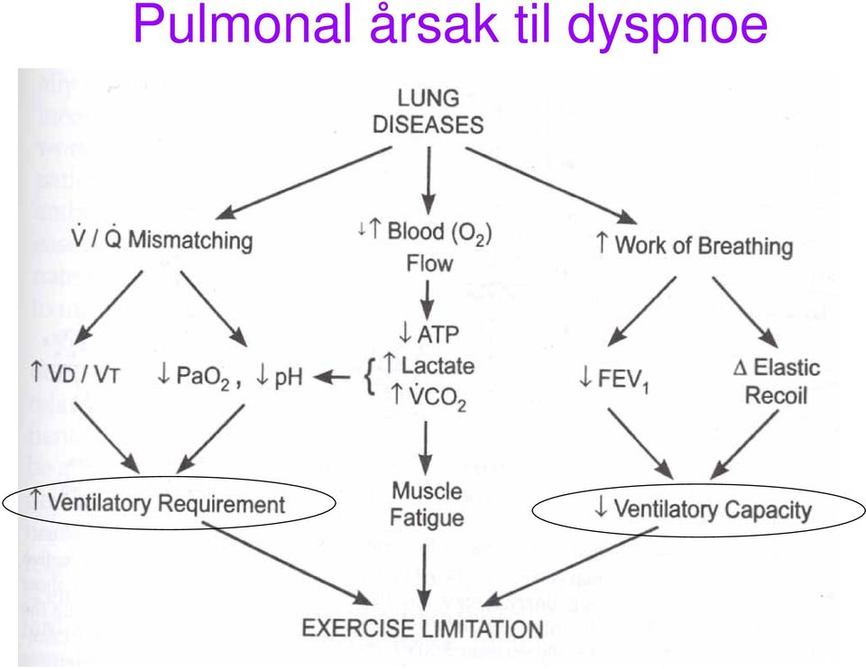 dyspnoe