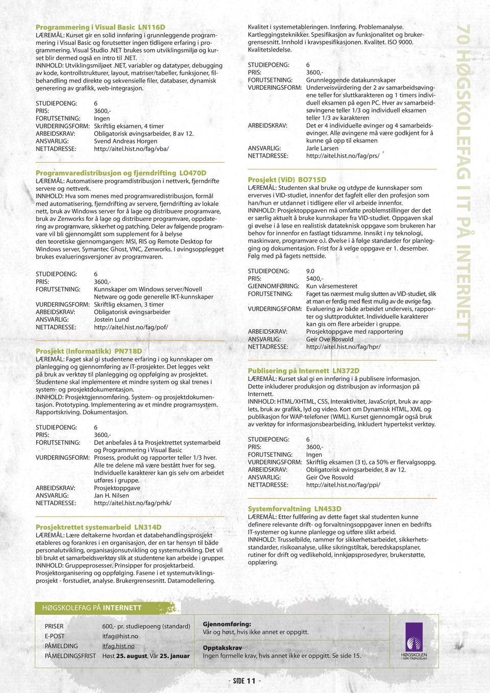 NET, variabler og datatyper, debugging av kode, kontrollstrukturer, layout, matriser/tabeller, funksjoner, filbehandling med direkte og sekvensielle filer, databaser, dynamisk generering av grafikk,