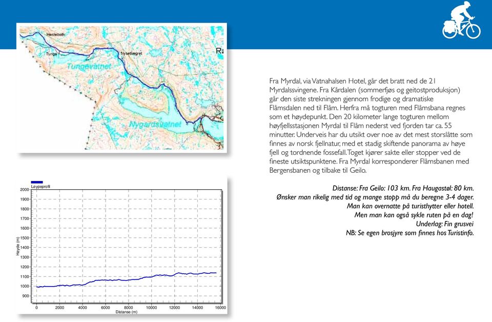 Den 20 kilometer lange togturen mellom høyfjellsstasjonen Myrdal til Flåm nederst ved fjorden tar ca. 55 minutter.