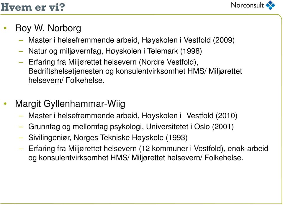 helsevern (Nordre Vestfold), Bedriftshelsetjenesten og konsulentvirksomhet HMS/ Miljørettet helsevern/ Folkehelse.