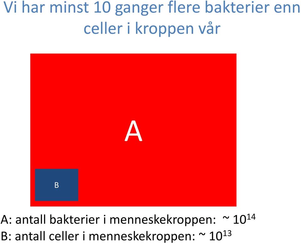 bakterier i menneskekroppen: ~ 10 14 B: